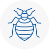 Bed Bug Extermination In Frampton Cotterell