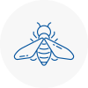 Bee Nest Removal Frampton Cotterell