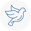 Bird Prevention Frampton Cotterell