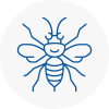 Frampton Cotterell Hornet Nest Removals