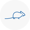 Mice Exterminators In Frampton Cotterell
