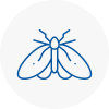Moth Control Specialists In Frampton Cotterell