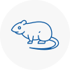 Rat Control Frampton Cotterell