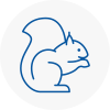Frampton Cotterell Rodent Removals