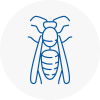 Frampton Cotterell Wasp Nest Removal